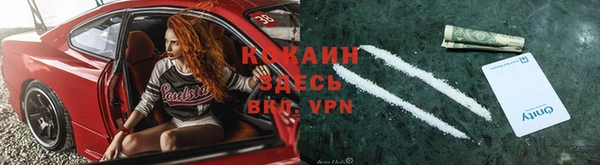 шишки Осинники