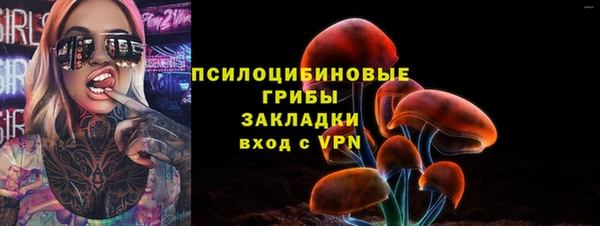PSILOCYBIN Нягань