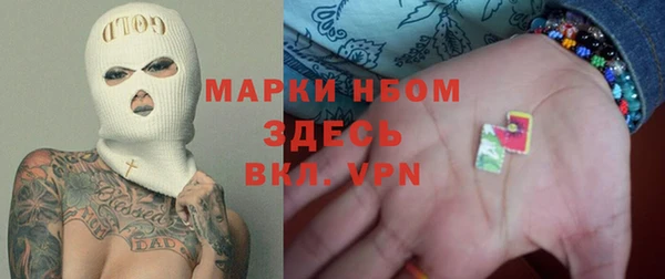 шишки Осинники