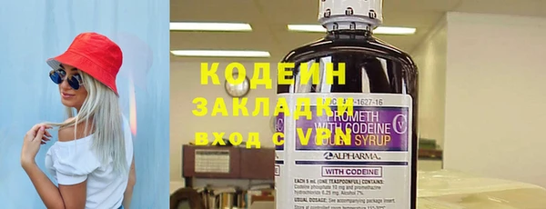 шишки Осинники