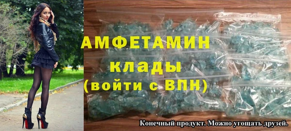 шишки Осинники