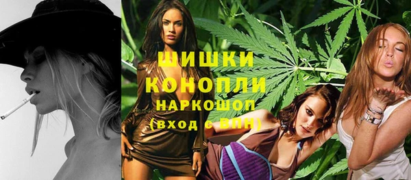 шишки Осинники