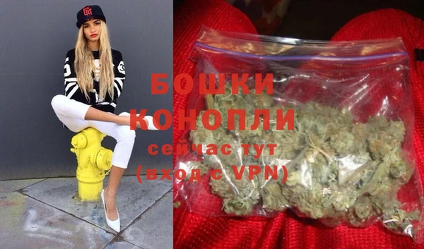 шишки Осинники
