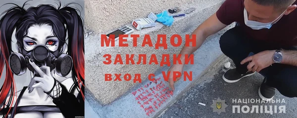 шишки Осинники