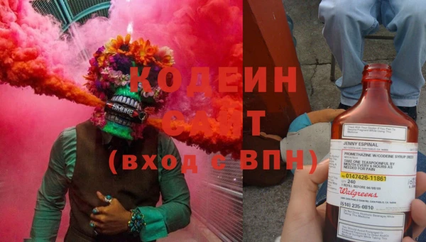 шишки Осинники